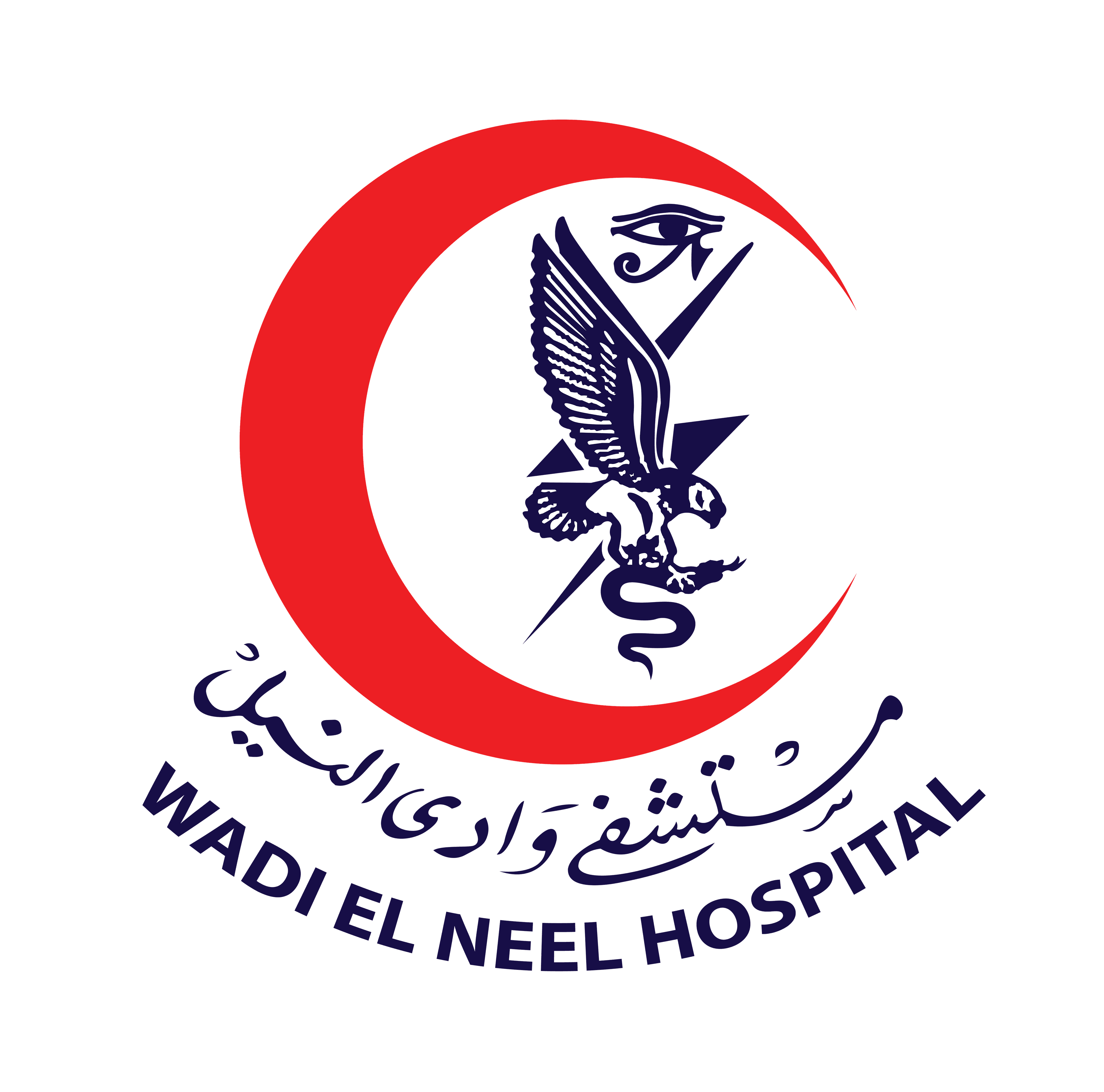 Wadi El Nile Hospital
