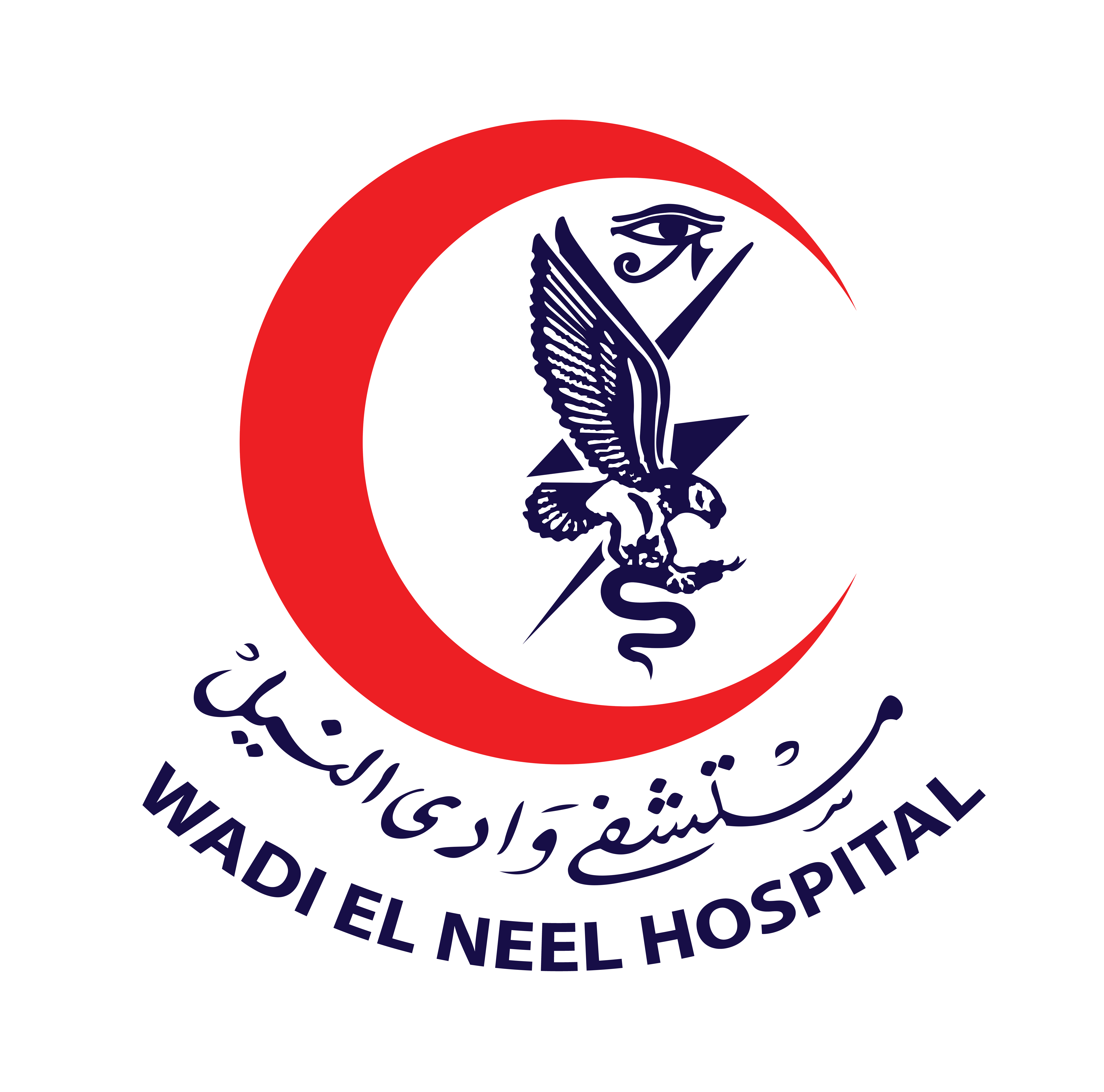 Wadi El Nile Hospital
